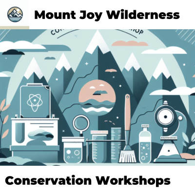 Conservation Workshops