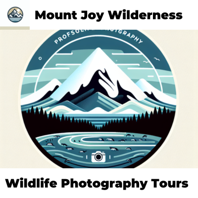 Wildlife Photography Tours